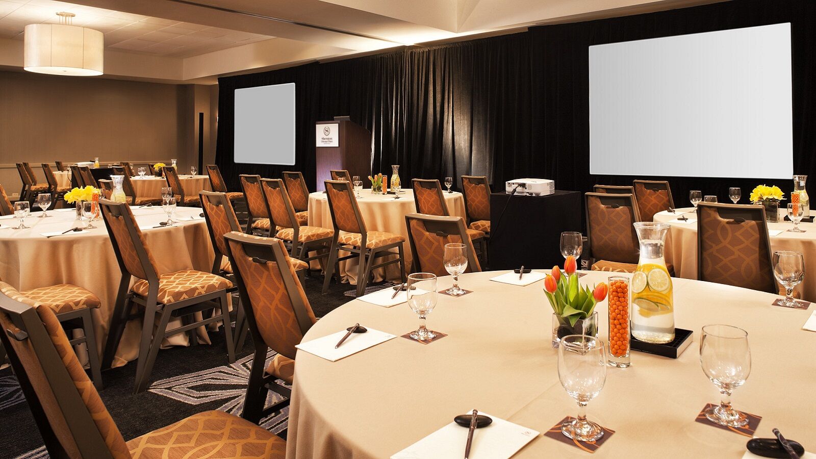 Sheraton Suites Chicago O'Hare Rosemont Exteriör bild